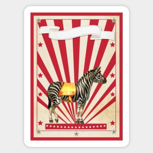 Vintage Circus Zebra Sticker